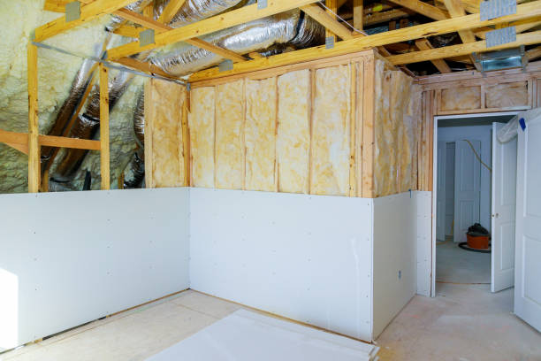 Best Insulation for New Construction  in Lansing, KS